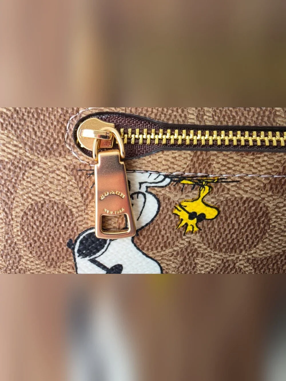 COACH Brown Snoopy Print Dome Satchel - Brown